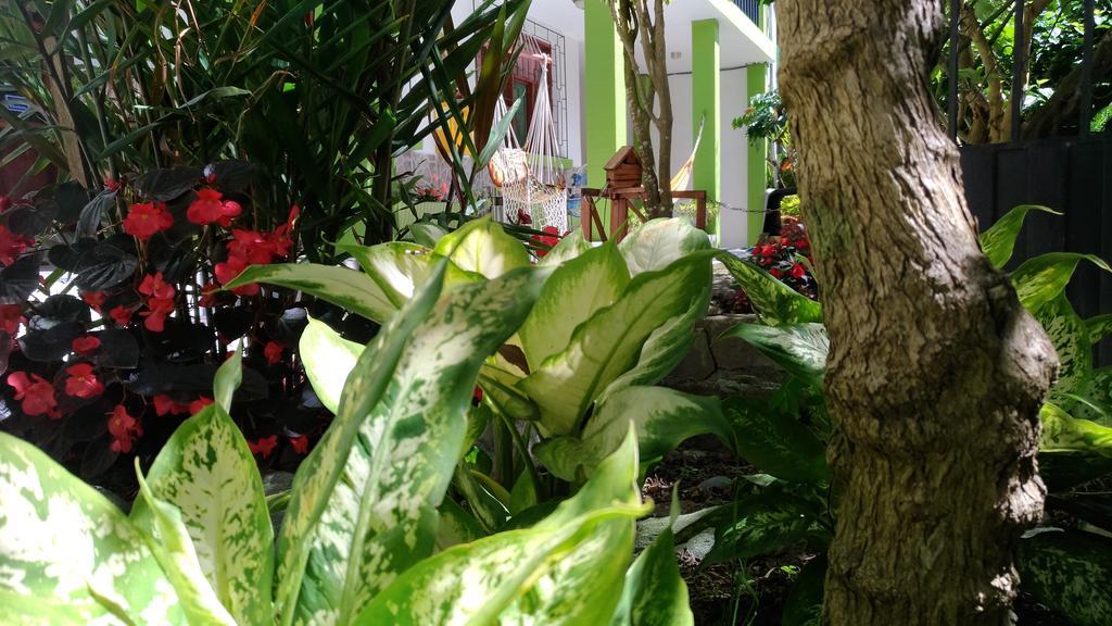 Hostal & Spa Casa Real Baños Zewnętrze zdjęcie
