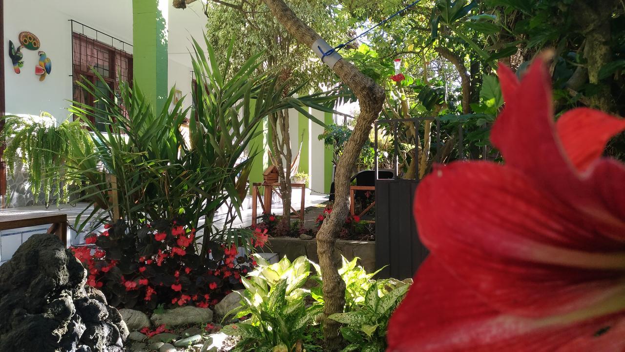Hostal & Spa Casa Real Baños Zewnętrze zdjęcie